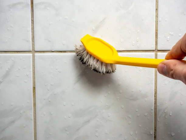 Best Mold Remediation Services  in Sylva, NC
