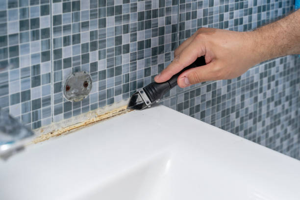 Best Same-Day Mold Removal  in Sylva, NC